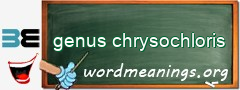 WordMeaning blackboard for genus chrysochloris